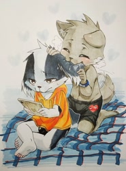 Size: 1080x1461 | Tagged: suggestive, artist:ffjjfci, oc:changle, oc:xiao hui, border collie, canid, cat, mammal, anthro, anthro/anthro, boy, boys only, cub, cub/cub, cubs only, male, male/male, males only, young, traditional, black fur, blushing, briefs, bulge, clothing, duo, eyes closed, fur, hoodie, sweat, tablet, teasing, topless, underwear, wagging tail, white fur