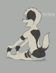 Size: 2975x3850 | Tagged: suggestive, artist:foxserx, oc:arcturus ripley, border collie, canid, dog, mammal, anthro, boy, cub, male, solo boy, solo cub, solo male, young, colored, digital, flat colored, briefs, butt, fur, looking at you, looking back at you, solo, underwear