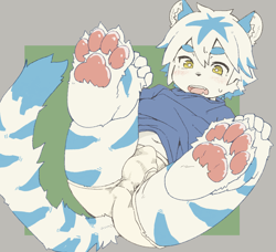 Size: 2537x2312 | Tagged: suggestive, artist:kurokiri, big cat, felid, mammal, tiger, anthro, boy, cub, male, solo boy, solo cub, solo male, young, colored, digital, flat colored, limited palette, blushing, briefs, clothing, detailed bulge, foot focus, fur, kemono, kemoshota, navel, pawpads, solo, stripes, sweat, underwear, white fur
