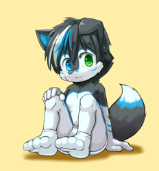 Size: 1082x1168 | Tagged: safe, artist:yojoo, oc:alexx jacob, canid, dog, fox, husky, hybrid, mammal, anthro, boy, cub, male, solo boy, solo cub, solo male, young, black fur, clothing, featureless chest, fur, heterochromia, navel, socks, socks without shoes, solo, tail, underwear, white fur