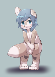 Size: 641x900 | Tagged: safe, artist:yojoo, oc:rvyne, ailurid, mammal, red panda, anthro, boy, cub, male, plantigrade, solo boy, solo cub, solo male, young, fur, hair, kemono, kemoshota, nudity, solo, tan fur