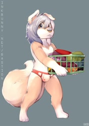 Size: 1416x2000 | Tagged: safe, artist:bastion shadowpaw, oc:rvyne, ailurid, mammal, red panda, anthro, boy, cub, male, solo boy, solo cub, solo male, young, boxers, briefs, bulge, fur, laundry, lollipop, septum piercing, solo, tail, tan fur, underwear, walking, white fur