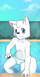 Size: 1520x2881 | Tagged: suggestive, artist:kake0078, oc:pentrep, arctic fox, canid, fox, mammal, vulpine, anthro, boy, cub, male, solo boy, solo cub, solo male, young, blue eyes, blushing, bulge, clothing, daytime, featureless chest, fur, kemono, kemoshota, looking at you, outdoors, solo, speedo, swimsuit, topless, v lines, wet, white fur