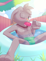 Size: 1200x1599 | Tagged: safe, artist:rexin, lagomorph, mammal, rabbit, anthro, boy, cub, male, plantigrade, solo boy, solo cub, solo male, young, black fur, blushing, bulge, clothing, daytime, eating, food, fur, holding popsicle, kiddie pool, navel, one eye closed, outdoors, popsicle, popsicle in mouth, solo, suggestive food, summer, swimsuit, topless