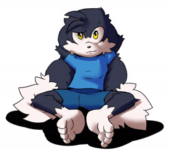 Size: 1416x1266 | Tagged: safe, artist:rexin, klonoa, cat, hybrid, mammal, rabbit, anthro, boy, cub, male, plantigrade, solo boy, solo cub, solo male, young, klonoa series, cel shaded, amber eyes, black fur, clothing, dreamworks face, feet, fur, long ears, looking at you, on ground, shorts, sitting, solo, white fur
