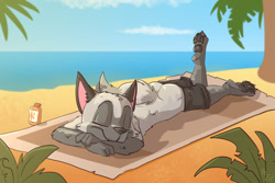 Size: 920x613 | Tagged: suggestive, artist:fuf, oc:samaliel, arctic fox, canid, fox, mammal, vulpine, anthro, boy, cub, male, young, beach, butt, clothing, daytime, outdoors, shorts, summer, topless