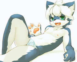 Size: 960x775 | Tagged: suggestive, artist:kuroisumi, canid, mammal, anthro, boy, cub, male, slender, solo boy, solo cub, solo male, young, 4 fingers, blue g-string, bulge, clothing, fingers, fur, g-string, gray fur, green eyes, hair, kemono, kemoshota, leaning back, looking at you, lying, multicolored underwear, navel, nipples, open mouth, panties, pawpads, skimpy outfit, snout, solo, striped g-string, tan pawpads, tan tongue, teeth, tongue, underwear, white fur