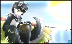 Size: 1280x784 | Tagged: safe, artist:ekihnox, oc:ookami woof, canid, mammal, wolf, anthro, boy, cub, male, solo boy, solo cub, solo male, young, black fur, collar, daytime, fur, heterochromia, lens flare, nudity, open mouth, outdoors, smiling, solo, water, white fur