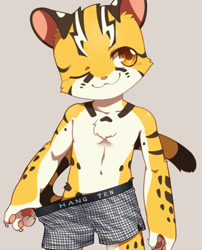 Size: 525x650 | Tagged: safe, artist:unrealplace, oc:raier, cat, felid, feline, mammal, boy, cub, male, solo boy, solo cub, solo male, young, series:one week one underwear, amber eyes, black fur, boxers, clothing, kemono, kemoshota, solo, stripes, teasing, underwear, white fur, winking, yellow fur
