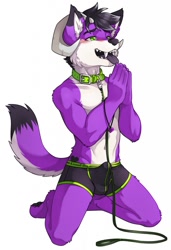 Size: 877x1280 | Tagged: suggestive, artist:unrealplace, oc:thesleepywolf, canid, dog, mammal, boy, male, slender, solo boy, solo male, teen, twink, young, begging, blushing, boxer-briefs, bulge, clothing, collar, erection, erection under clothing, horn, kemono, leash, navel, panting, solo, submissive, tongue out, topless, underwear