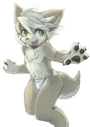 Size: 855x1200 | Tagged: safe, artist:kuroisumi, canid, mammal, anthro, boy, cub, male, solo boy, solo cub, solo male, young, bulge, chest tuft, claws, clothing, fundoshi, fundoshi only, fur, green eyes, kemono, kemoshota, navel, open mouth, pawpads, smiling, solo, tan fur, topless, underwear
