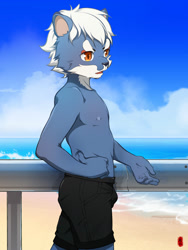 Size: 1500x2000 | Tagged: safe, artist:oniyama ryuuichi, ambiguous species, mammal, boy, cub, male, solo boy, solo cub, solo male, young, alternate version, beach, blue fur, clothing, daytime, fur, hair, kemono, kemoshota, nipples, outdoors, solo, topless, white fur