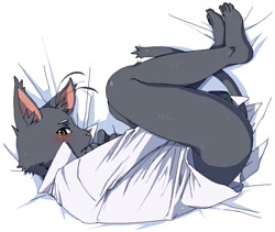 Size: 1420x1200 | Tagged: suggestive, artist:kansouki, shin kuroi, cat, felid, mammal, anthro, boy, cub, male, plantigrade, young, morenatsu, ai enhanced, cel shaded, amber eyes, black fur, blushing, bottomless, clothing, dress shirt, fur, kemono, kemoshota, lying, on side, shy