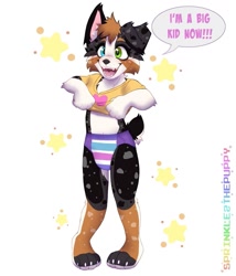 Size: 1097x1280 | Tagged: safe, artist:sprinklez the puppy, australian shepherd, canid, dog, mammal, anthro, cub, female, plantigrade, young, diaper, solo, training pants