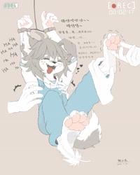 Size: 3277x4096 | Tagged: safe, artist:makioraku, oc:misha makioraku, canid, mammal, wolf, anthro, boy, cub, male, young, 4 toes, bandage, barefoot, claws, clothing, cuffs, disembodied hand, drawstring, eyes closed, feathers, feet, floppy ears, foot fetish, foot play, freckles, fur, gray fur, group, hair, heart, kemono, kemoshota, laughing, pawpads, paws, recording, restraints, solo focus, tail, text, tickling, tickling feet, toe claws, toes, tongue, tongue out, white fur