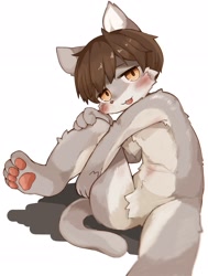 Size: 2279x3012 | Tagged: safe, artist:kintubaovo, cat, felid, anthro, boy, cub, male, plantigrade, solo boy, solo cub, solo male, young, blep, blushing, brown eyes, brown hair, fur, gray fur, hair, kemono, kemoshota, nudity, solo, tongue out