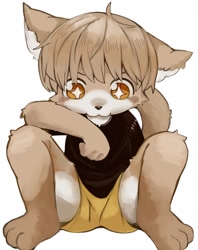 Size: 1364x1726 | Tagged: safe, artist:kintubaovo, cat, felid, anthro, boy, cub, male, plantigrade, solo boy, solo cub, solo male, young, brown hair, clothing, fur, kemono, kemoshota, shorts, solo