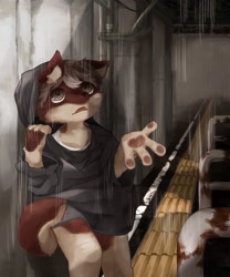 Size: 1600x1920 | Tagged: safe, artist:kintubaovo, canid, mammal, anthro, boy, cub, male, solo boy, solo cub, solo male, young, 2022, brown fur, clothing, fingers, fur, gray hair, hoodie, kemono, kemoshota, outdoors, pawpads, raining, solo