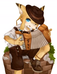 Size: 1856x2404 | Tagged: safe, artist:kintubaovo, anthro, boy, cub, male, plantigrade, solo boy, solo cub, solo male, young, accordion, blue eyes, clothing, fur, hat, kemono, kemoshota, musical instrument, shoes, shorts, socks, solo, yellow fur
