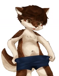 Size: 1455x1854 | Tagged: suggestive, artist:kintubaovo, canid, mammal, anthro, boy, cub, male, solo boy, solo cub, solo male, young, brown fur, brown hair, clothing, fur, kemono, kemoshota, navel, shorts, solo, topless, undressing, undressing self