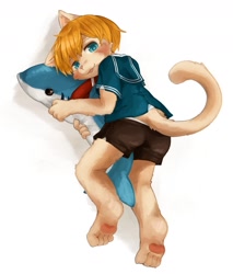 Size: 1377x1616 | Tagged: safe, artist:kintubaovo, cat, felid, anthro, boy, cub, male, plantigrade, solo boy, solo cub, solo male, young, blonde hair, fur, hair, kemono, kemoshota, looking at you, pawpads, sailor outfit, shorts, solo, tan fur