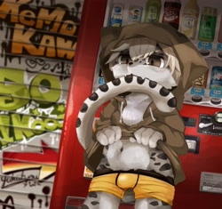 Size: 2456x2306 | Tagged: suggestive, artist:kintubaovo, big cat, felid, mammal, snow leopard, anthro, boy, cub, male, solo boy, solo cub, solo male, young, 2021, boxer-briefs, bulge, clothing, fur, hoodie, kemono, kemoshota, navel, solo, underwear, undressing, undressing self