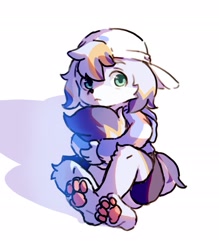 Size: 1825x2080 | Tagged: safe, artist:xiao langao, oc:xiao langao, canid, dog, mammal, anthro, boy, cub, male, plantigrade, solo boy, solo cub, solo male, young, blue fur, blue hair, clothing, fur, green eyes, hair, hat, hoodie, looking at you, orange fur, orange hair, pawpads, solo, white fur, white hair