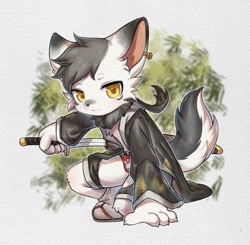 Size: 1632x1600 | Tagged: safe, artist:xiao langao, canid, mammal, anthro, boy, cub, male, plantigrade, solo boy, solo cub, solo male, young, amber eyes, black fur, black hair, earring, fur, kemono, kemoshota, looking at you, solo, sword, weapon, white fur