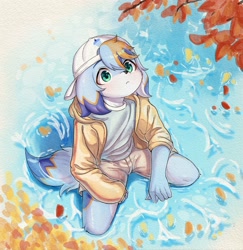 Size: 2655x2732 | Tagged: safe, artist:xiao langao, anthro, boy, cub, male, solo boy, solo cub, solo male, young, traditional, ball cap, blue fur, blue hair, clothing, fur, green eyes, hair, hat, hoodie, orange fur, orange hair, shorts, solo, water