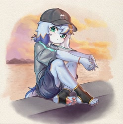 Size: 3568x3600 | Tagged: safe, artist:xiao langao, oc:xiao langao, canid, dog, mammal, anthro, boy, male, plantigrade, solo boy, solo male, young, colored, digital, fully shaded, ball cap, blue fur, blue hair, claws, fur, green eyes, hair, hat, looking at you, orange fur, orange hair, pawpads, solo, white fur
