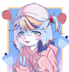 Size: 2746x2859 | Tagged: safe, artist:xiao langao, oc:xiao langao, canid, dog, mammal, anthro, boy, cub, male, solo boy, solo cub, solo male, young, colored, digital, fully shaded, ball cap, blue fur, blue hair, clothing, fur, green eyes, hat, hoodie, looking at you, orange fur, orange hair, solo, white fur