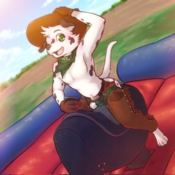 Size: 2048x2048 | Tagged: suggestive, artist:endcoon, dalmatian, dog, anthro, boy, cub, male, solo boy, solo cub, solo male, young, colored, digital, fully shaded, blushing, bulge, chaps, clothing, cowboy hat, daytime, floppy ears, fur, green eyes, hat, looking at you, mechanical bull, navel, open mouth, outdoors, pecs, solo, topless, winking
