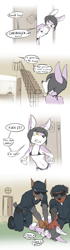 Size: 900x3219 | Tagged: suggestive, artist:sasha belle, oc:sasha belle, canid, doberman, dog, husky, mammal, adult, adult/cub, anthro, anthro/anthro, boy, cub, femboy, male, male/male, males only, man, man/boy, young, colored, digital, flat colored, age difference, amber eyes, bikini, bikini bottom, bikini top, black hair, clothing, crossdressing, english text, eyes closed, fur, hair, hat, one-shot, pink fur, police hat, police uniform, solo focus, sunglasses, swimsuit, teeth, thong, underwear, uniform, white fur