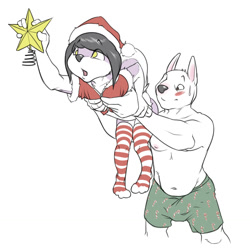 Size: 1200x1199 | Tagged: safe, artist:sasha belle, oc:sasha belle, canid, dog, mammal, siberian husky, adult, adult/cub, anthro, anthro/anthro, boy, cub, femboy, male, male/male, males only, man, man/boy, muscular, slender, young, christmas, colored, digital, flat colored, age difference, boxers, bulge, clothing, duo, fur, nipples, pecs, pink fur, topless, underwear