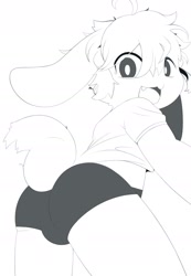 Size: 1236x1785 | Tagged: suggestive, artist:ping_koon, lagomorph, mammal, rabbit, anthro, boy, cub, male, solo boy, solo cub, solo male, young, digital, bulge, butt, clothing, fur, hair, kemono, kemoshota, looking at you, open mouth, precum, presenting, presenting hindquarters, short tail, solo, tail, underwear