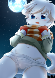 Size: 706x1000 | Tagged: suggestive, artist:tororoudn, canid, dog, mammal, anthro, boy, cub, male, solo boy, solo cub, solo male, young, blue eyes, blushing, briefs, bulge, clothing, fur, gloves, handwear, hiked up shirt, kemono, kemoshota, moon, navel, outdoors, public, scarf, sky, solo, standing, starry sky, tan fur, underwear, white briefs, white underwear