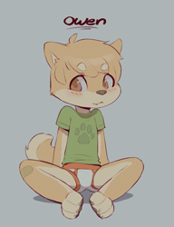 Size: 1473x1920 | Tagged: safe, artist:skidoo, oc:owen (skidoo), canid, dog, mammal, shiba inu, anthro, boy, cub, male, plantigrade, solo boy, solo cub, solo male, young, colored, digital, flat colored, limited palette, briefs, clothing, fur, no pants, shirt, solo, t-shirt, underwear