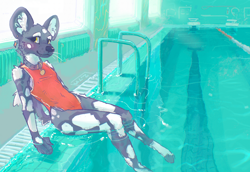 Size: 1200x825 | Tagged: safe, artist:thalomine, oc:simir (thalomine), african wild dog, canid, mammal, ambiguous gender, anthro, boy, male, slender, solo boy, solo male, solo teen, teen, twink, young, digital, 2024, clothing, collar, ears, fur, gray fur, indoors, one-piece swimsuit, paws, sitting, solo, swimming pool, swimsuit, swimwear, tail, water, white fur, yellow eyes