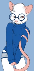 Size: 437x900 | Tagged: safe, artist:ajna, oc:biscuit, mammal, murid, rat, rodent, anthro, boy, male, slender, solo boy, solo male, solo teen, teen, twink, young, clothing, eyewear, fur, glasses, looking at you, shy, solo, sweater, tail, turtleneck, underwear, undressing, undressing self, white fur