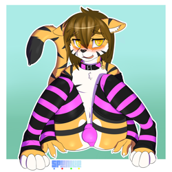Size: 3000x3000 | Tagged: suggestive, artist:spunkie, oc:minime, big cat, felid, feline, mammal, tiger, anthro, boy, cub, femboy, male, solo boy, solo cub, solo male, young, digital, 4 fingers, 4 toes, amber eyes, black fur, black nose, blushing, brown fur, bulge, claws, clothing, collar, fang, fur, kemono, kemoshota, licking lips, looking at you, navel, open legs, socks, solo, striped socks, stripes, teeth, thong, topless, underwear, white fur