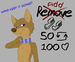 Size: 1000x829 | Tagged: suggestive, artist:misterpickleman, oc:taylor knight, canid, coyote, mammal, anthro, cub, female, girl, solo cub, solo female, solo girl, young, series:airedale, colored, digital, flat colored, 2022, blue eyes, brown fur, dialogue, english text, fang, fur, nipples, nudity, solo, teeth
