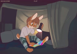 Size: 4000x2812 | Tagged: safe, artist:shiuk, oc:flip bunny, lagomorph, mammal, rabbit, anthro, boy, cub, male, plantigrade, solo boy, solo cub, solo male, young, colored, digital, flat colored, brown fur, brown hair, comic, flashlight, fully clothed, fur, open legs, reading, sitting, solo