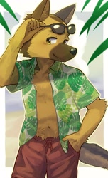 Size: 2018x3312 | Tagged: safe, artist:gabobon05, canid, dog, german shepherd, mammal, anthro, boy, male, solo boy, solo male, solo teen, teen, young, amber eyes, blushing, fur, kemono, navel, open shirt, outdoors, solo, sunglasses