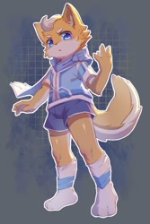 Size: 1000x1500 | Tagged: safe, artist:ningning, canid, mammal, anthro, boy, cub, male, plantigrade, solo boy, solo cub, solo male, young, 2022, blue eyes, fur, hair, kemono, kemoshota, looking at you, shorts, socks, solo, tail