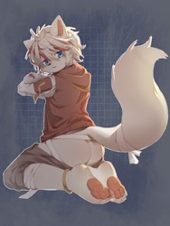 Size: 1500x2000 | Tagged: safe, artist:ningning, anthro, boy, cub, male, plantigrade, solo boy, solo cub, solo male, young, anklet, blue eyes, butt, clothing, fur, hair, hoodie, kneeling, looking at you, pawpads, solo, toe claws, undressing, white fur