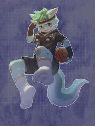 Size: 1500x2000 | Tagged: safe, artist:ningning, canid, mammal, anthro, boy, cub, male, solo boy, solo cub, solo male, young, 2023, basketball, fingerless gloves, fur, green eyes, kemono, kemoshota, looking at you, shorts, socks, solo, sports