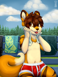 Size: 3000x4000 | Tagged: safe, artist:bastion shadowpaw, oc:todes kiddy, big cat, canid, felid, fox, hybrid, mammal, tiger, tigerfox, anthro, boy, cub, male, solo boy, solo cub, solo male, young, digital, painted, blep, bulge, clothing, drying off, fur, public, solo, stripes, swimsuit, tongue out, topless, towel