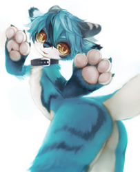 Size: 940x1160 | Tagged: safe, artist:fuzisawa, mammal, anthro, boy, cub, male, solo boy, solo cub, solo male, young, 4 fingers, blue fur, blue hair, butt, cheek tuft, claws, collar, dancing, fingers, foot focus, fur, hair, horn, kemono, kemoshota, looking at you, nudity, open mouth, pawpads, smiling, solo, white fur, yellow eyes