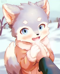 Size: 1671x2048 | Tagged: safe, artist:piporinton, canid, dog, human, mammal, adult, adult/cub, adult/young, anthro, anthro/human, boy, cub, male, males only, young, age difference, blue eyes, blushing, faceless character, faceless male, fang, fur, kemono, kemoshota, romantic, snow, solo focus, teeth, winter