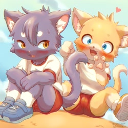 Size: 2048x2041 | Tagged: safe, artist:piporinton, cat, felid, mammal, anthro, anthro/anthro, boy, boys only, cub, male, males only, young, amber eyes, blue eyes, blushing, bulge, duo, fang, fur, kemono, kemoshota, shoes, shorts, sneakers, socks, sweat, teeth